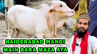 SURPRISE Tour at Haiderabad Cow Mandi  Part 01  Cattle Market Karachi [upl. by Calen384]