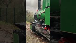 Leighton buzzard railway steam train [upl. by Madelina]