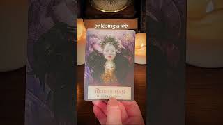 This Found You at The Right Time ✨ tarot tarotreading [upl. by Dobb]