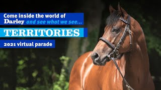 2021 Darley Australia Stallion Parade  Territories [upl. by Jessey]