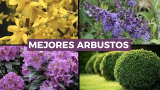 7 Mejores ARBUSTOS para el jardín 🌳¡FÁCILES de CUIDAR [upl. by Paolo]