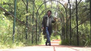 Moru de by madan jhalta full hd video [upl. by Eerihs]