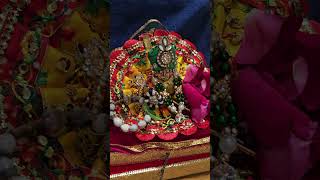 Dwarka na dev ni vat na thay laddu gopal  morning shringar Shorts [upl. by Oisacin]