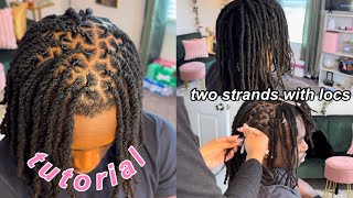 HOW TO WASH AND RETWIST STARTERBABY LOCS  6 MONTH LOC UPDATE [upl. by Cissej]