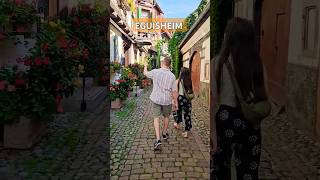 Eguisheim  France wine france waltz travel french vlog lifestyle life sunshine [upl. by Leahey]