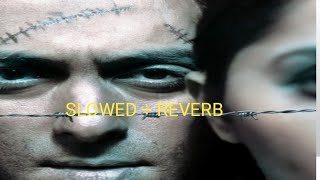 Tere Naam Song Slowed and Reverb  Tere Naam Song mashup  SALMAN KHAN latest song  terenaam [upl. by Quartus]