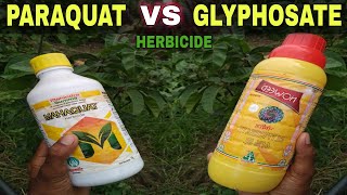 Paraquat Dichloride Vs Glyphosate  Contact Vs Systemic Herbicide used in Agriculture [upl. by Uase914]