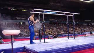 Danell Leyva  Parallel Bars  2013 ATampT American Cup [upl. by Ajnot718]