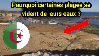 rétractation inhabituelle de la mer en algérie  pourquoi certaines plages se vident de leurs eaux [upl. by Erodeht]