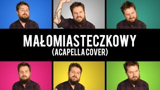 Dawid Podsiadło  Małomiasteczkowy acapella cover [upl. by Herschel]