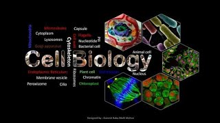 Eukaryotic cell cell biology class 11 short notes ncertunit 8 cell the unit of life [upl. by Atsirhcal]