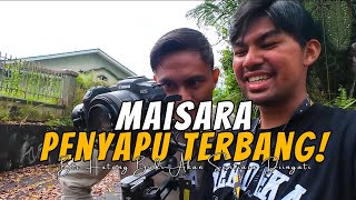 MAISARA PENYAPU TERBANG  BTS LUPA HUTANG BUDI SAHABAT LAMA [upl. by Gilberta720]