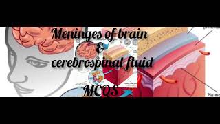 Menignes of brain amp Cerebrospinal fluid MCQS  Biobites MCQS For NEETamp NCRTS DrRafique Pitafi [upl. by Aerdnu]