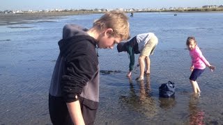 Clamming in the Navesink River [upl. by Yetnom723]