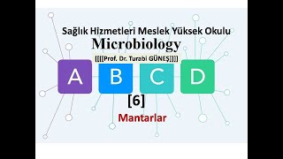 Temel Mikrobiyoloji 6 [upl. by Nalepka719]