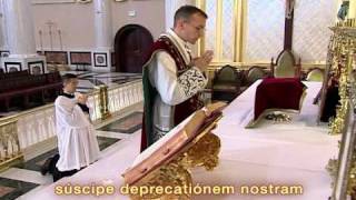 FSSP Video on Traditional Latin Mass Part 13 [upl. by Friede]