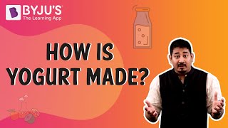 How is Yogurt Made  Learn with BYJUS [upl. by Sigfried]