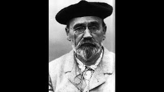 Émile Zola  Germinal Analyse [upl. by Ajak]