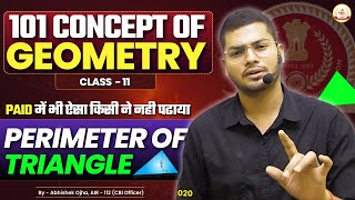 Perimeter Of Triangle  101 Concept Of Geometry  Class  11  Geometry By Abhishek Ojha Sir [upl. by Adahs310]