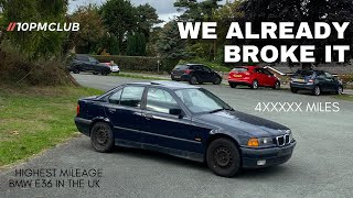 We bought the highest mileage BMW E36 in the UK [upl. by Leavy876]