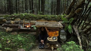 Build survival BUNKER in the Wild  Overnight bushcraft camp alone  Outdoor cooking [upl. by Bernetta]