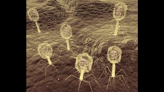 Acellular Microbe Structure and FunctionChapter 7 [upl. by Parette]