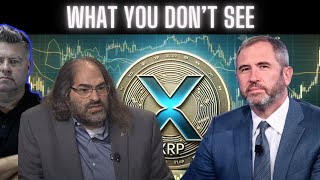 The Truth About XRP [upl. by Hamlen]