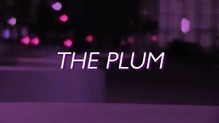 The Plum  Trailer [upl. by Avlasor546]