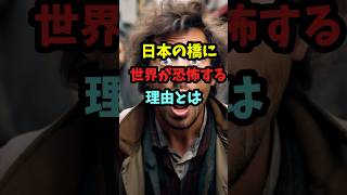 「こんな橋通れるわけない」日本の橋に世界が恐怖する理由とは 日本 橋 世界 [upl. by Peery945]