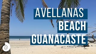 Avellanas beach Guanacaste Costa Rica  GOPlayacr [upl. by Ailil]