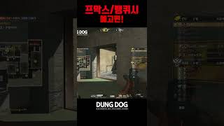 🐶🎮 포맨계의 슈트남 프악스뱅퀴시 아바온라인 FPS 게임  Alliance of Valiant Arms  戰地之王 [upl. by Hodge]