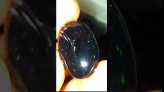 Sempur ruyung black opal kaliamaya banten [upl. by Ellynn]