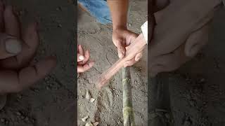 Sharpening axe blade after putting wood handle shorts short shortvideo swordmaking diy how [upl. by Bryna918]