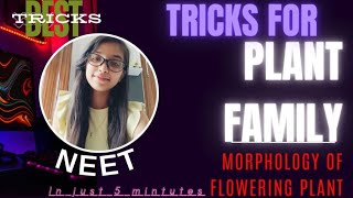 BEST TRICKS TO LEARN PLANT FAMILIES FOR NEET JAHANVI KAMBOJ [upl. by Anniram63]