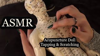 ASMR Gentle Tapping amp Scratching On An Acupuncture Doll No Talking [upl. by Terrilyn734]