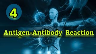 أساسيات المناعه 4  شرح بالعربي Antigen Antibody Reaction [upl. by Olcott]