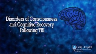 Disorder of Consciousness amp Cognitive Recovery Following TBI Levels 110 with Dr Alan Weintraub [upl. by Iloj]