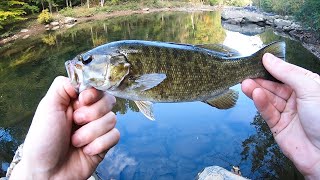 Catching Smallmouth Bass in the Appalachian Mountains [upl. by Aldarcy]