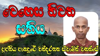 වෙහෙස නිවන සතිය  VenPanadure Chandarathana Thero [upl. by Gelman]