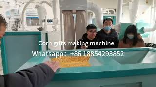 500kgh Corn grits making machine maize milling machine [upl. by Eehsar]