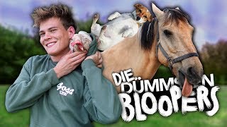 DIE DÜMMSTEN BLOOPERS mit allen Tieren  Joeys Jungle [upl. by Runkle]