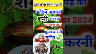 दशहरे पर करें शमी के पेड़ से अचूक उपाय dushera vsreligiouskathaye shorts upay [upl. by Betteanne]