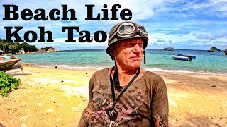 Koh Tao Thailand Sairee Beach and Mae Haad Beach [upl. by Antoine385]