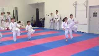 White Belts Doing Testing Basics amp Sanbon Kumite  Charleswood Karate 2012 [upl. by Anattar203]