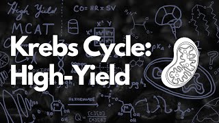 Krebs Cycle LastMinute HighYield Studying for MCAT  MCAT 2024 [upl. by Tara]