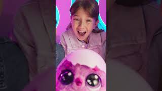 Hatchimals Alive Secret Hatch Draggle  Fire amp Water [upl. by Holey]