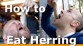 3 BEST ways to Eat Herring in Amsterdam with Woltersworld [upl. by Refenej411]