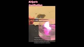 Potassium Meets Water Watch What Happensscience chemistry  Magical reaction [upl. by Eiramyllek]