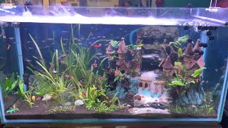 Planted Aquarium With Mist Maker Setup  Golden Arrow Petshop Tirupur SimbaaVlogs [upl. by Alam435]