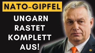 Ungarischer Wutausbruch NATOGipfel endet mit heftigem Eklat [upl. by Nilra473]